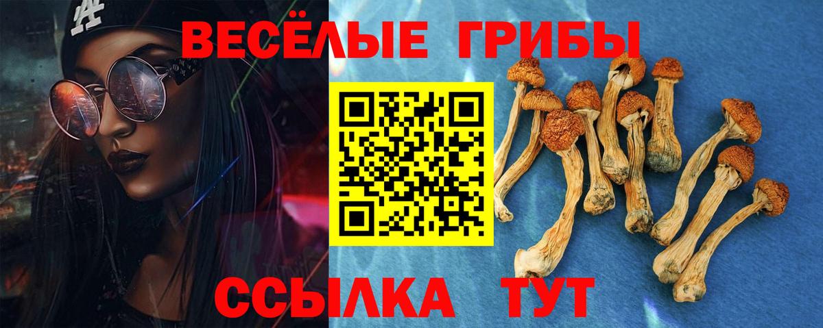 где можно купить   Галлюциногенные грибы прущие грибы  Псилоцибиновые грибы Magic Shrooms  Вход с VPN  Сафоново 