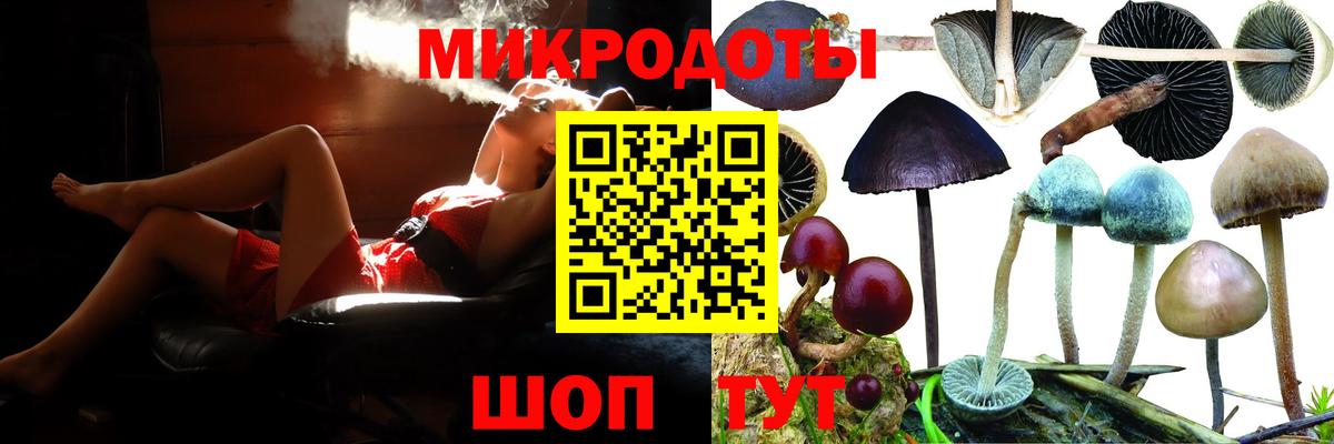 Псилоцибиновые грибы прущие грибы Сафоново